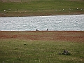 Patagonie 169